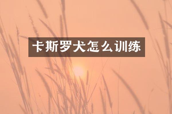 卡斯罗犬怎么训练