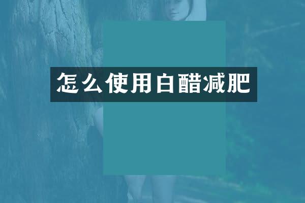 怎么使用白醋减肥