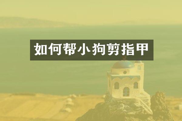 如何帮小狗剪指甲