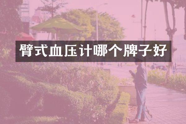 臂式血压计哪个牌子好