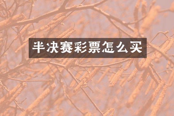 半决赛彩票怎么买