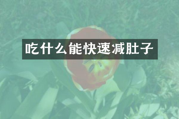 吃什么能快速减肚子