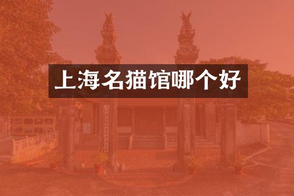上海名猫馆哪个好