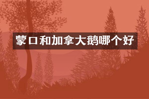 蒙口和加拿大鹅哪个好