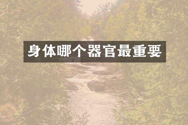 身体哪个器官最重要