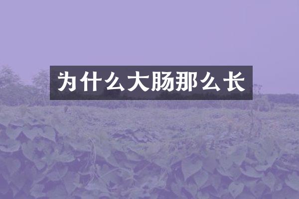 为什么大肠那么长