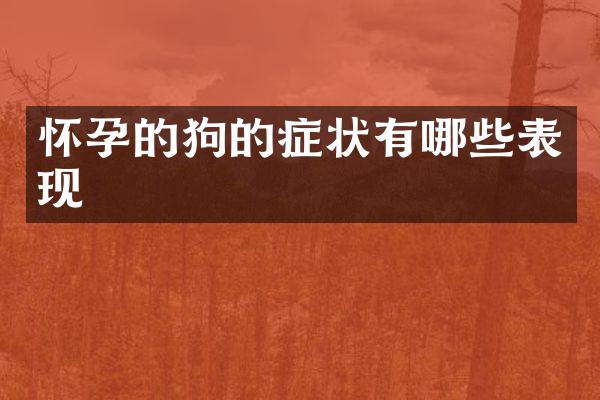 怀孕的狗的症状有哪些表现