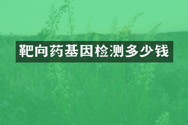 靶向药基因检测多少钱
