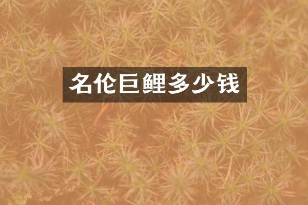 名伦巨鲤多少钱