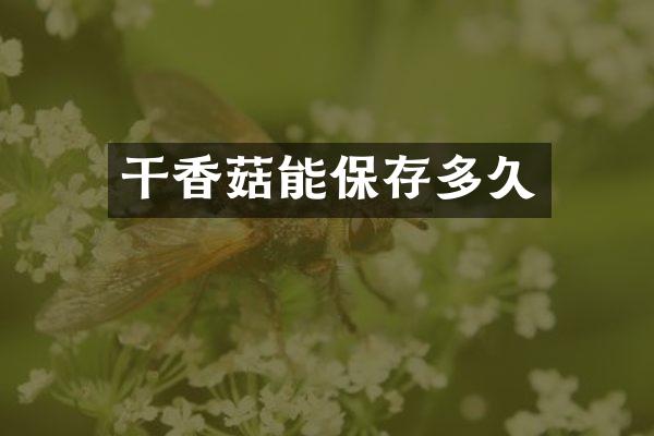 干香菇能保存多久
