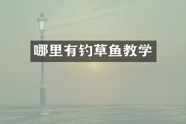哪里有钓草鱼教学