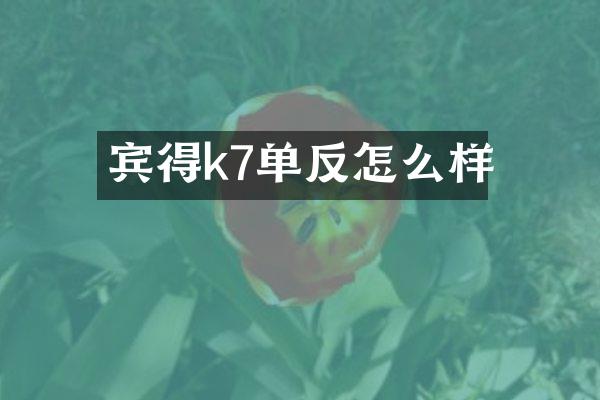宾得k7单反怎么样