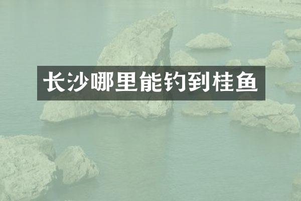 长沙哪里能钓到桂鱼