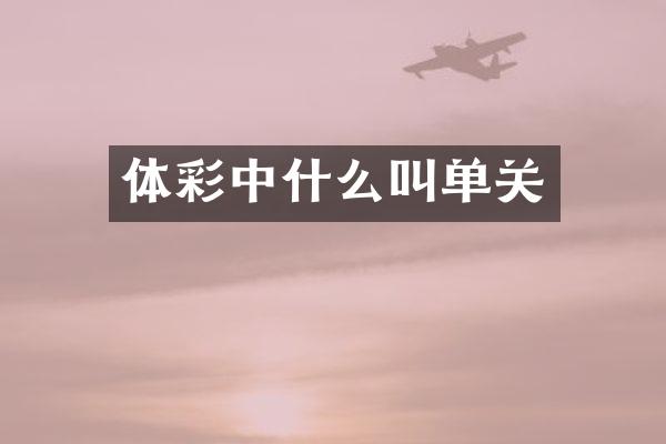 体彩中什么叫单关