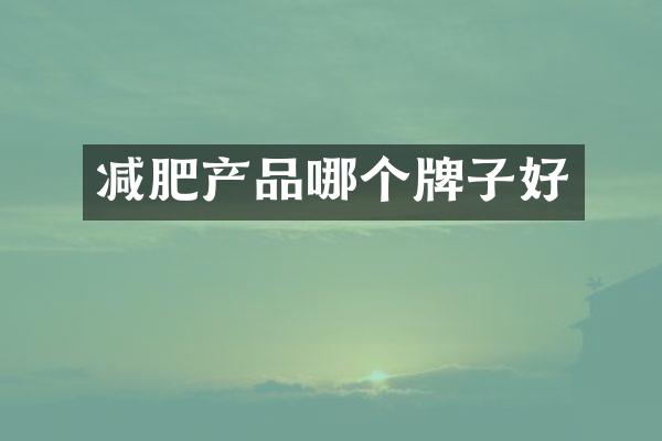 减肥产品哪个牌子好
