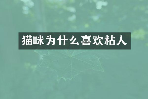 猫咪为什么喜欢粘人