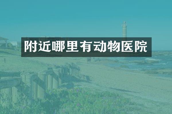 附近哪里有动物医院