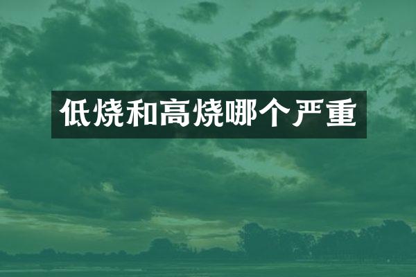 低烧和高烧哪个严重