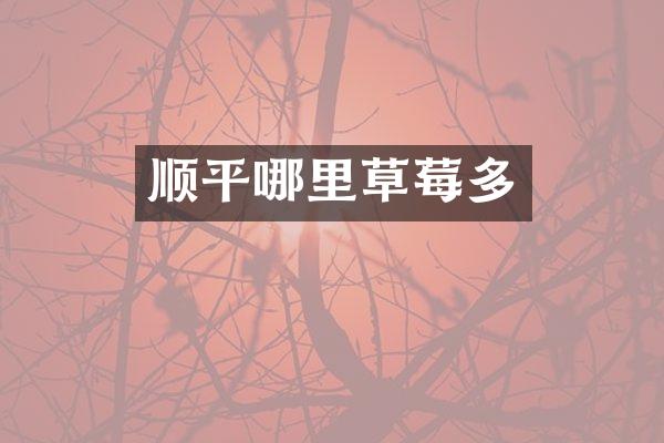 顺平哪里草莓多