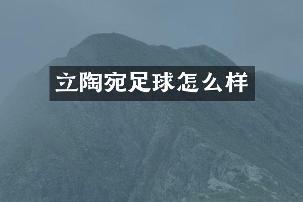 立陶宛足球怎么样