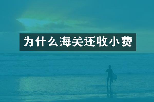 为什么海关还收