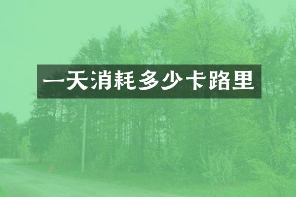 一天消耗多少卡路里