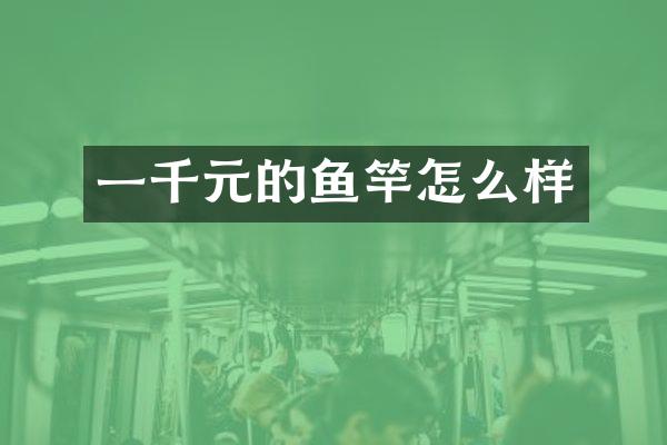 一千元的鱼竿怎么样