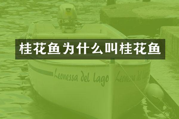 桂花鱼为什么叫桂花鱼