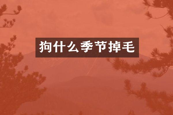 狗什么季节掉毛