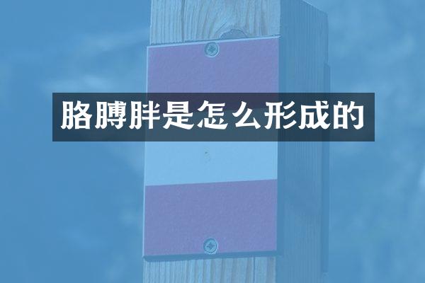 胳膊胖是怎么形成的
