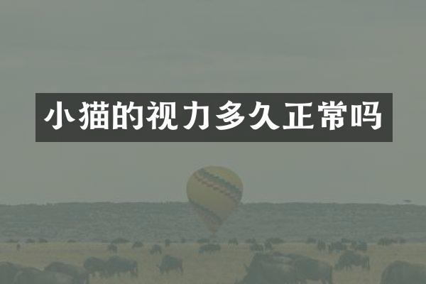 小猫的视力多久正常吗