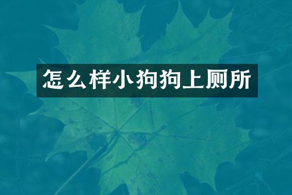 怎么样小狗狗上厕所