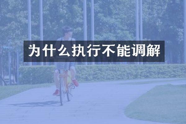 为什么执行不能调解