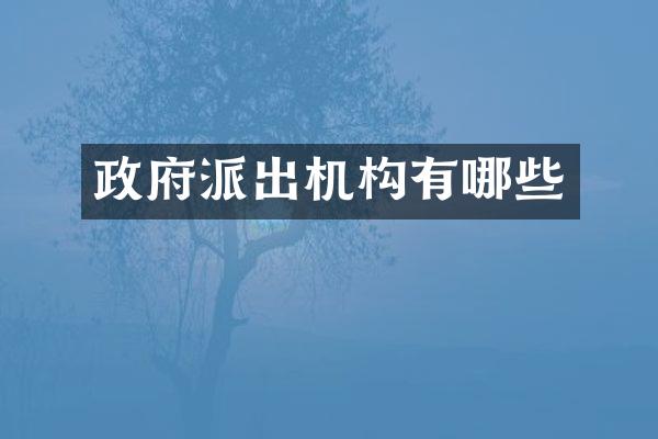 政府派出机构有哪些
