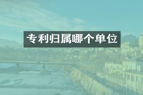 专利归属哪个单位