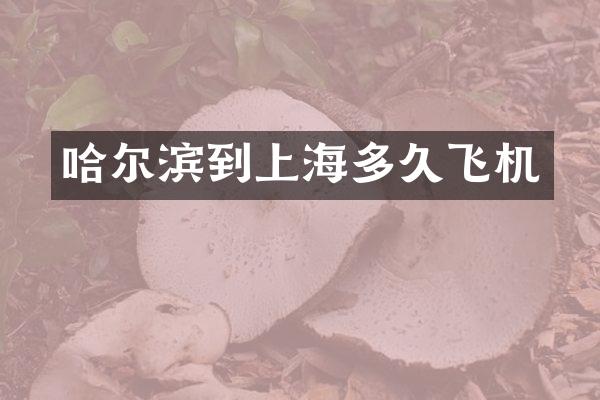 哈尔滨到上海多久飞机