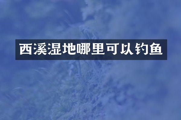 西溪湿地哪里可以钓鱼