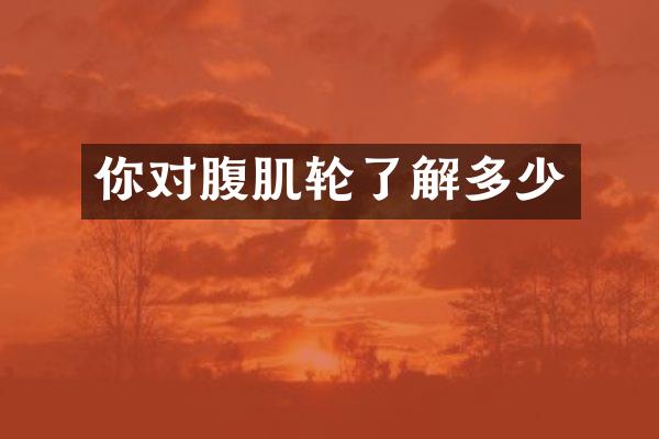 你对腹肌轮了解多少