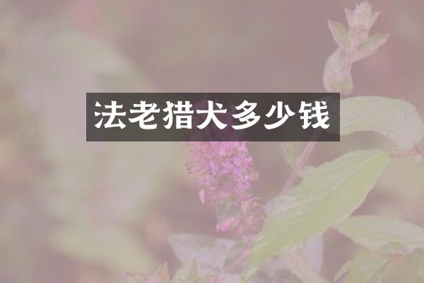 法老猎犬多少钱