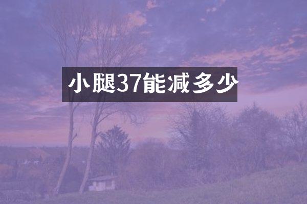 小腿37能减多少