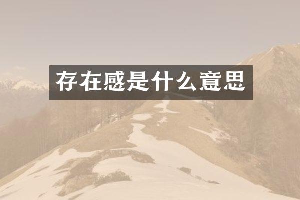 存在感是什么意思