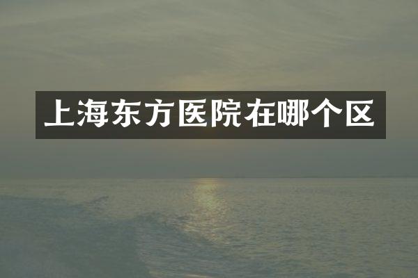 上海东方医院在哪个区