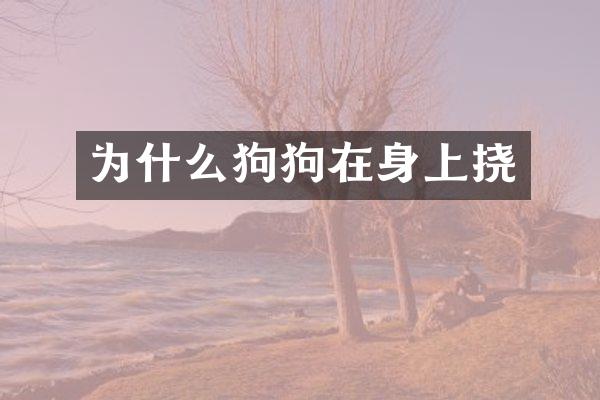 为什么狗狗在身上挠