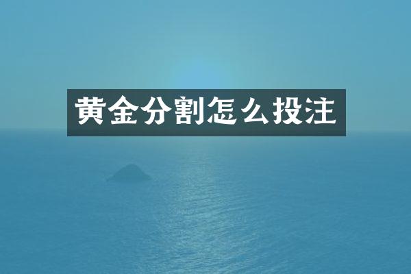 黄金分割怎么投注