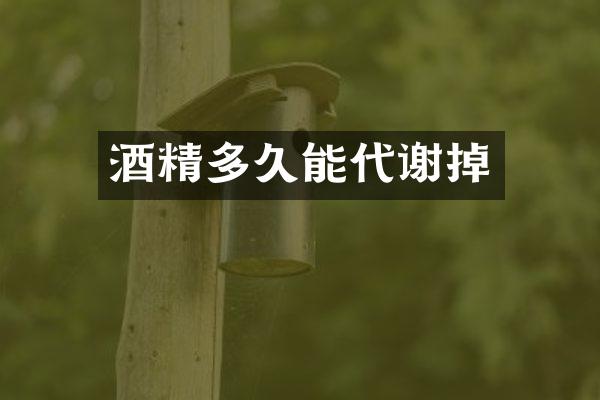 酒精多久能代谢掉