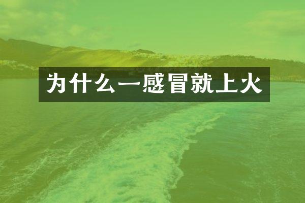为什么一感冒就上火