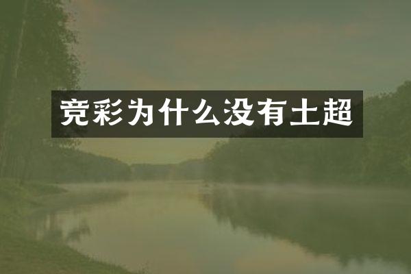 竞彩为什么没有土超