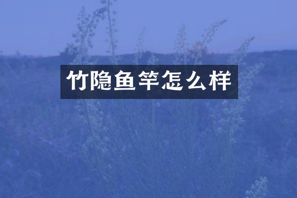 竹隐鱼竿怎么样