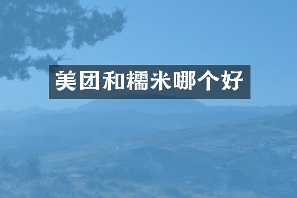 美团和糯米哪个好
