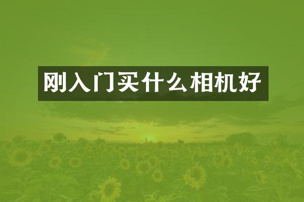 刚入门买什么相机好